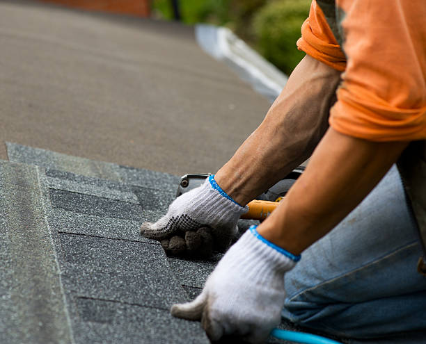 Best Roof Maintenance Services  in Louisburg, NC